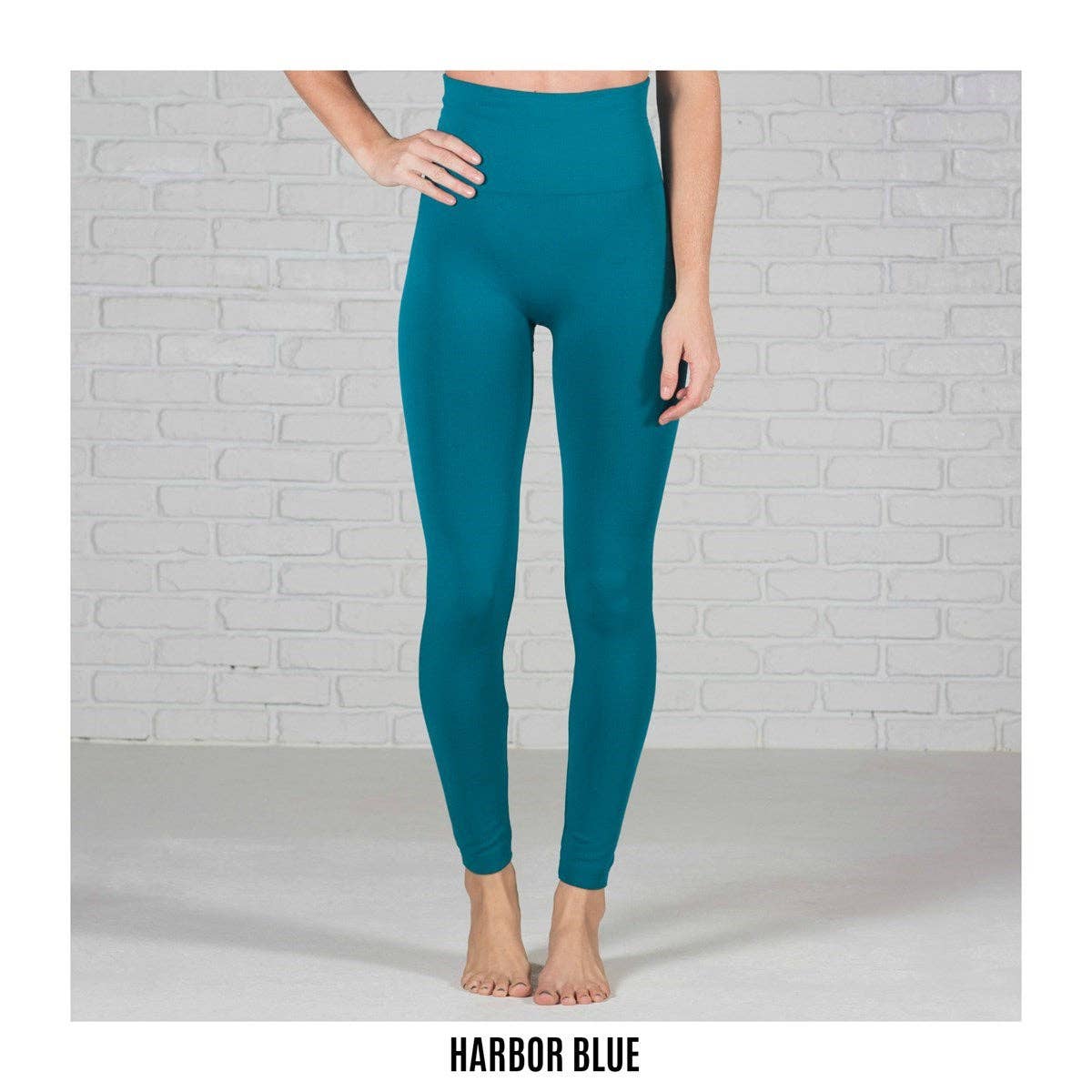 Black Tummy Control Fleece Lined Leggings - One Size & Curvy