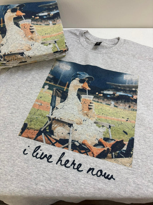 I Live Here Now Baseball Goose Graphic Tee