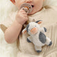 BEAR Bitzy Pal Natural Rubber Pacifier & Plush