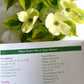 Read Through the Bible in a Year Planner: 2026 Edition